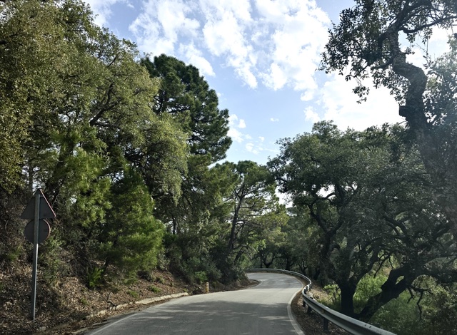 Road to Genalguacil. Photo © Karethe Linaae
